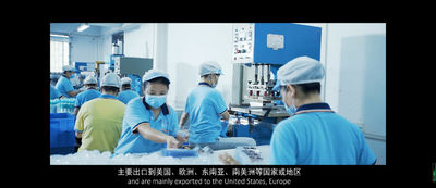 چین Sundelight Infant products Ltd.